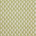 Pindler & Pindler Borrego Green Fabric