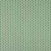 Premier Prints Paco Ocado Green Slub Canvas Fabric