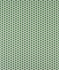 Premier Prints Paco Ocado Green Slub Canvas Fabric