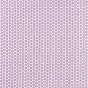 Premier Prints Paco Orchid Canvas Fabric