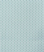 Premier Prints Paco Waterbury Slub Canvas