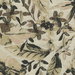 ABBEYSHEA Palate 61 Champagne Fabric