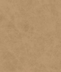 Kravet Patch.106.0 Fabric
