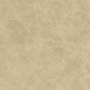 Kravet Patch.11.0 Fabric