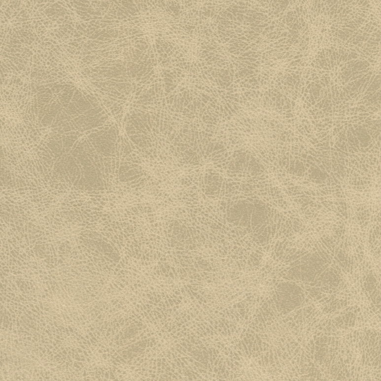 Kravet Patch.11.0 Fabric