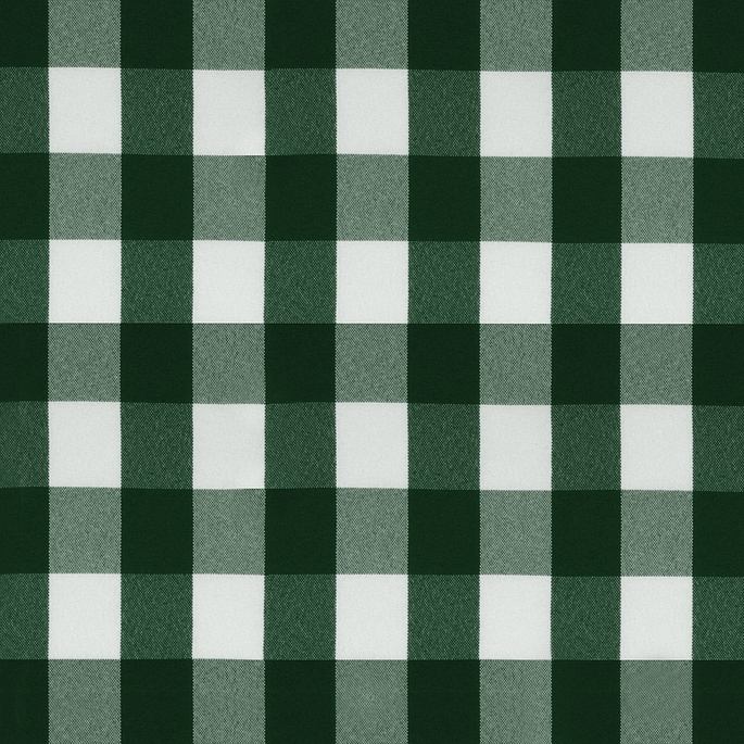 Hunter Green Picnic Check Poplin Fabric image 1 of 2