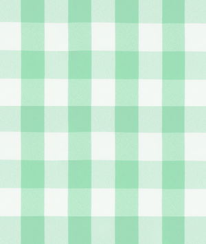Ice Mint Picnic Check Poplin Fabric