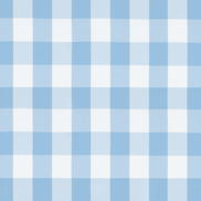 Sky Blue Picnic Check Poplin Fabric