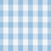 Sky Blue Picnic Check Poplin Fabric