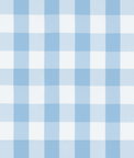 Sky Blue Picnic Check Poplin Fabric