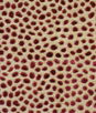 Baker Lifestyle Cosma Blush Fabric