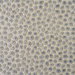 Baker Lifestyle Cosma Opal Fabric