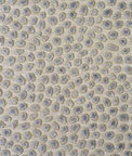 Baker Lifestyle Cosma Opal Fabric