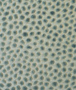 Baker Lifestyle Cosma Teal/Aqua