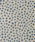 Baker Lifestyle Cosma Smoke Fabric