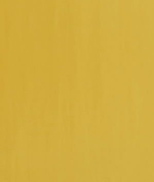 Baker Lifestyle Milborne Daffodil Fabric