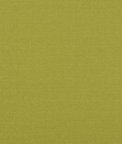 Baker Lifestyle Lansdowne Lime Fabric