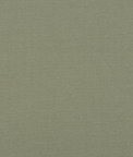Baker Lifestyle Lansdowne Fern Fabric