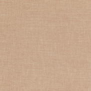 Baker Lifestyle Folly Spice Fabric