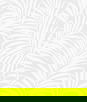 NextWall Peel & Stick Tossed Palm Off-White Paintable Wallpaper