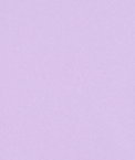 Lavender Poly Poplin Fabric