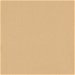 Champagne Poly Poplin Fabric thumbnail image 1 of 2
