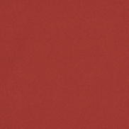 Rust Poly Poplin Fabric