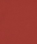 Rust Poly Poplin Fabric