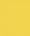 Yellow Poly Poplin Fabric