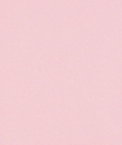 Pink Poly Poplin Fabric