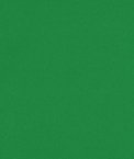 Flag Green Poly Poplin Fabric