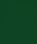 Hunter Green Poly Poplin Fabric