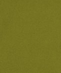 Avocado Poly Poplin Fabric