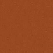 ABBEYSHEA Kendrick 44 Pumpkin Spice Fabric