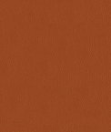 ABBEYSHEA Kendrick 44 Pumpkin Spice Fabric