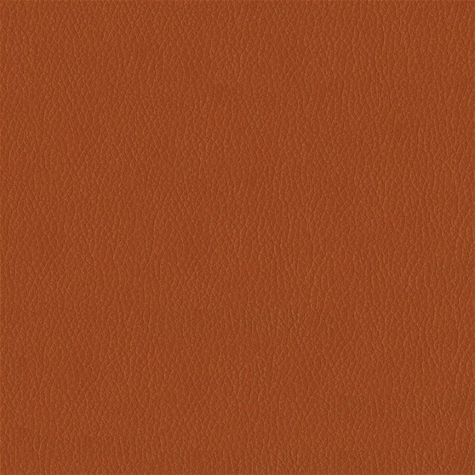 ABBEYSHEA Kendrick 44 Pumpkin Spice Fabric