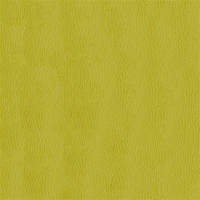 ABBEYSHEA Kendrick 54 Citron Fabric