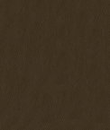 ABBEYSHEA Kendrick 802 Tan Fabric