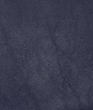 Nassimi Dark Blue Vinyl