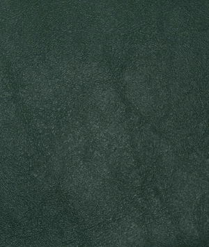 Nassimi Forest Green Vinyl