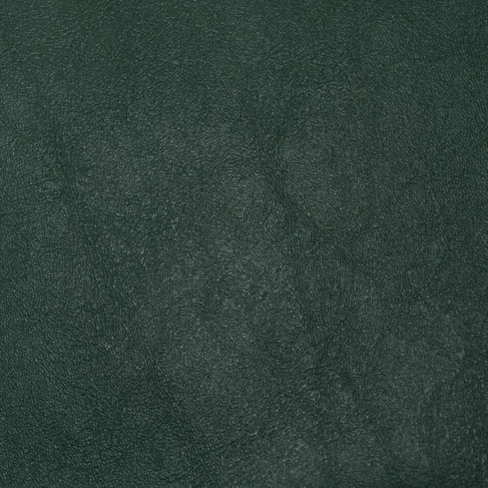 Nassimi Primary Forest Green Vinyl image 1 of 2