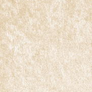 Champagne Panne Velvet Fabric