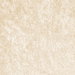 Champagne Panne Velvet Fabric