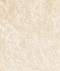Champagne Panne Velvet Fabric