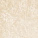 Champagne Panne Velvet Fabric thumbnail image 1 of 2