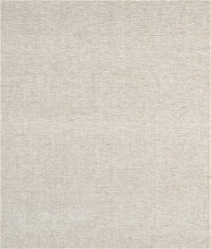 Robert Allen @ Home Rodez Backed Linen Fabric