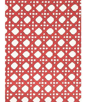 Robert Allen @ Home Fresh Cane Backed Coral Fabric