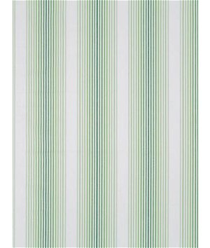 Robert Allen @ Home Tivoli Stripe Palm Fabric