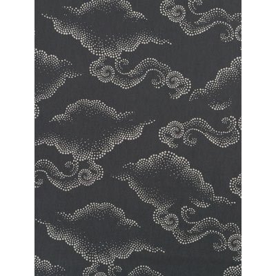 Robert Allen @ Home Cloudburst Graphite Fabric