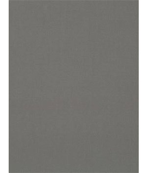Robert Allen @ Home Pure Solid Backed Fog Fabric